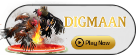 Digman - ADAGAMING168